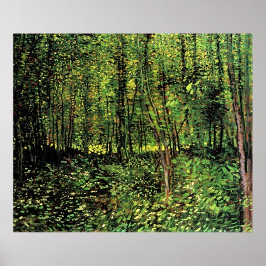 Bomen en ondergroei poster (Voorkant)