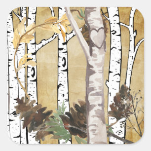 Bomen en pijnboomscheurtjes vierkante sticker