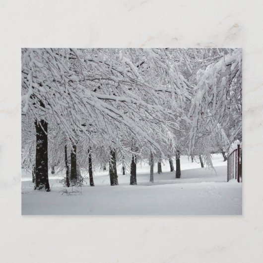 bomen en sneeuw briefkaart (Voorkant)