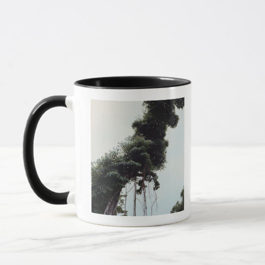 Bomen en wijnstokken in oerwoud mok (Links)