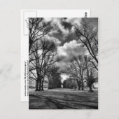 Bomen en wolken briefkaart (Voorkant / Achterkant)