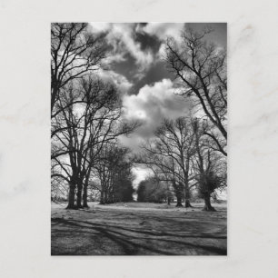 Bomen en wolken briefkaart