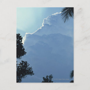 Bomen en wolken briefkaart