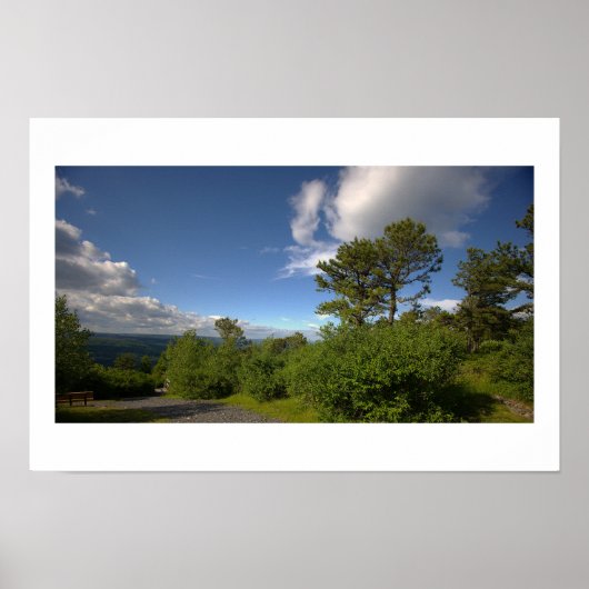 Bomen en Wolken Poster (Voorkant)