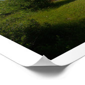 Bomen en Wolken Poster (Hoek)