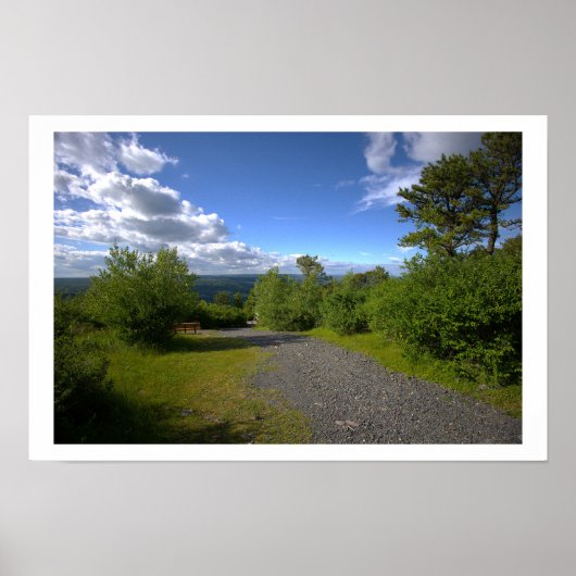 Bomen en Wolken Poster (Voorkant)