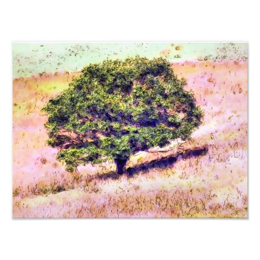 BOMEN FOTO AFDRUK (Voorkant)