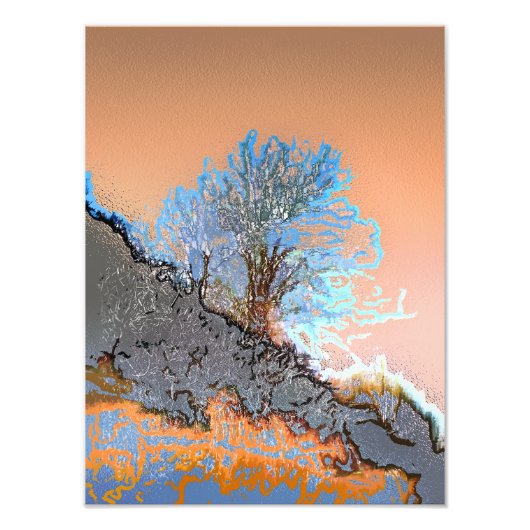 BOMEN FOTO AFDRUK (Voorkant)