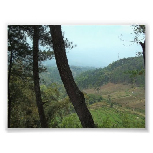 Bomen Foto Afdruk (Voorkant)