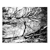 Bomen Foto Rubber Stamp Rubberstempel (Afrduk)