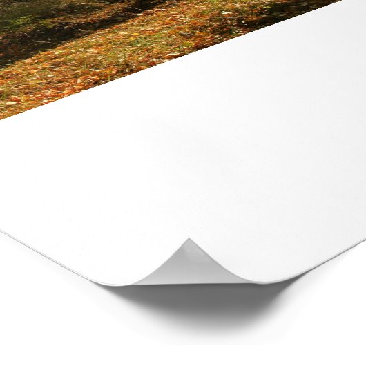 Bomen in de herfst poster (Hoek)