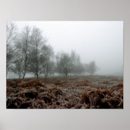 Bomen in de mist poster