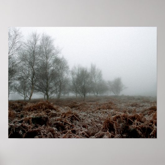 Bomen in de mist poster (Voorkant)
