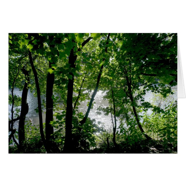 Bomen in de rivier (Voorkant Horizontaal)
