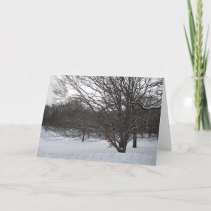Bomen in de sneeuw II Feestdagen Kaart