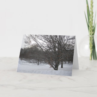 Bomen in de sneeuw II Feestdagen Kaart