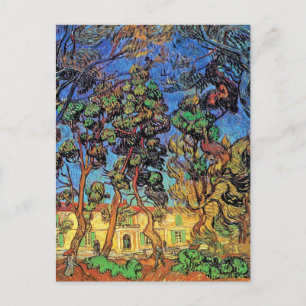 Bomen in de tuin van het Sint-Paulusziekenhuis - V Briefkaart