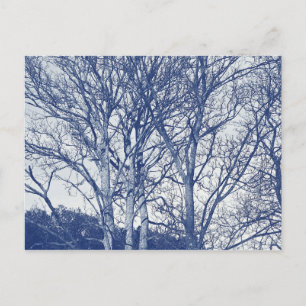Bomen in de winter - cyanotype-effect briefkaart