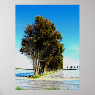 Bomen in een landschap van Jersey Poster
