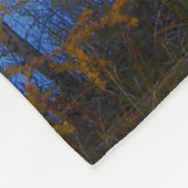 bomen in een meer in een deken van de herfst (Hoek)