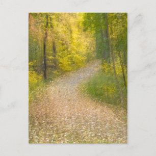 Bomen in herfstkleuren en met bladeren bedekt pad briefkaart
