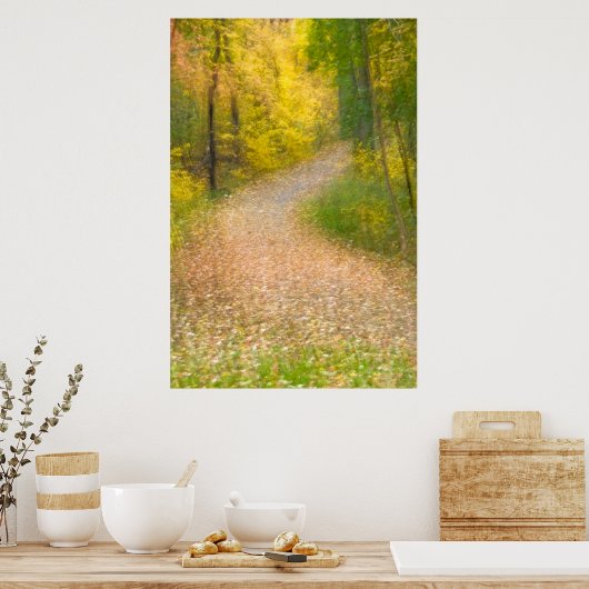 Bomen in herfstkleuren en met leder omgeven Pathwa Poster (Keuken)