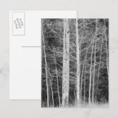 Bomen in het bos tijdens de winter briefkaart (Voorkant / Achterkant)