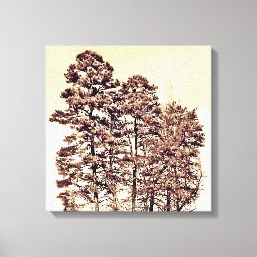 Bomen in het zonlicht canvas afdruk (Voorkant)