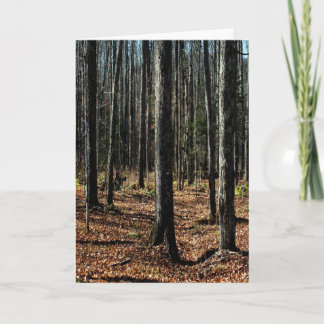 Bomen in late herfst: digitaal veranderd bos kaart