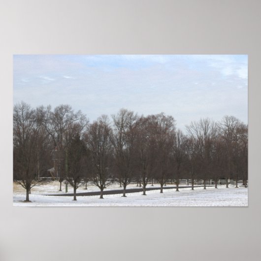 Bomen in Sneeuw Poster (Voorkant)