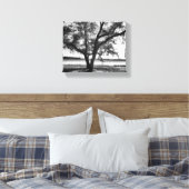 Bomen in zwart-wit Stretched Canvas Print (Insitu (Slaapkamer))