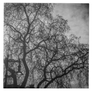 Bomen in zwarte en witte keramische fototegels tegeltje