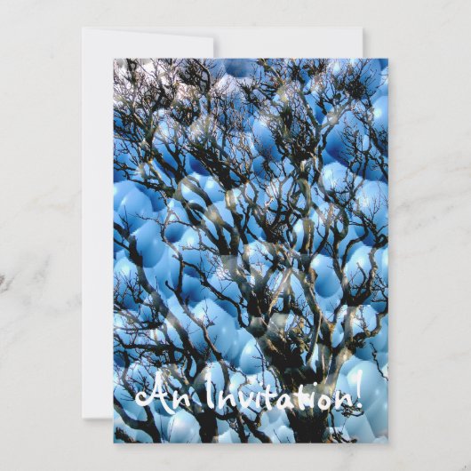 BOMEN KAART (Voorkant)