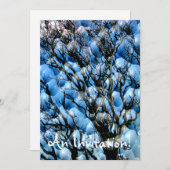 BOMEN KAART (Voorkant / Achterkant)