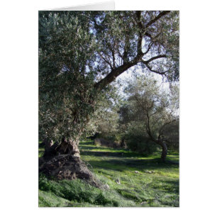 Bomen Kaart