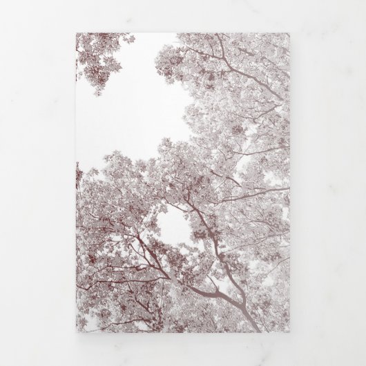 Bomen-kaart 4 drieluik wenskaart (Cover)