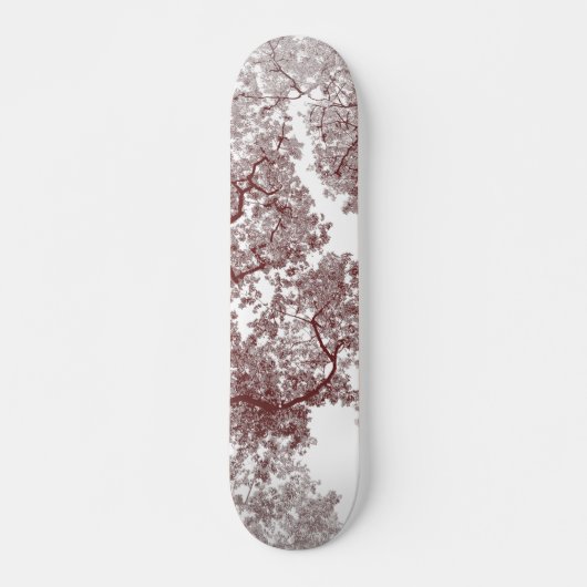 Bomen-kaart 4 skateboard (Voorkant)