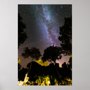 Bomen landschap met melkweg poster