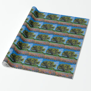 Bomen leven eik onder Texas Bluebonnets Cadeaupapier