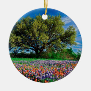 Bomen leven eik onder Texas Bluebonnets Keramisch Ornament