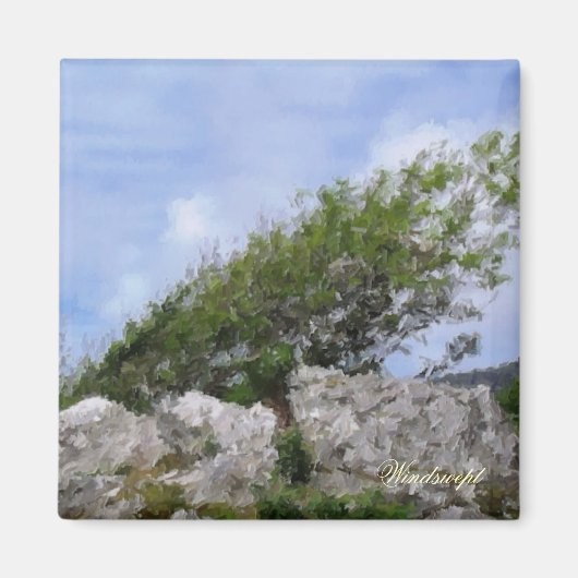 BOMEN MAGNEET (Voorkant)