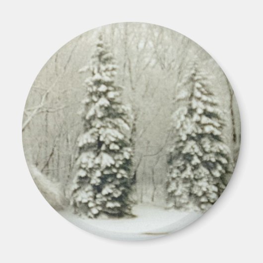 bomen magneet (Voorkant)