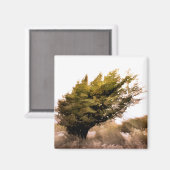 BOMEN MAGNEET (Voorkant / Achterkant)