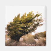 BOMEN MAGNEET (Voorkant)