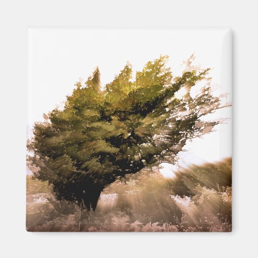 BOMEN MAGNEET (Voorkant)