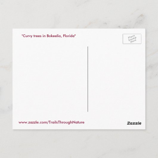 Bomen met de Curvy Gumbo Limbo Briefkaart Forida (Achterkant)