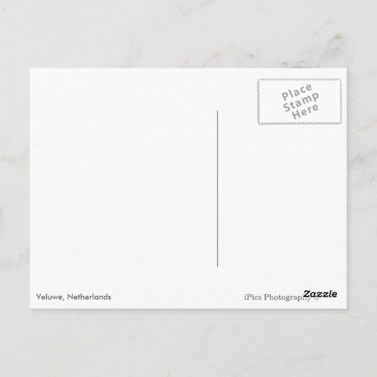 Bomen met herfstbladeren in een bos briefkaart (Achterkant)