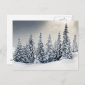 Bomen met hoarfrost en sneeuw briefkaart (Voorkant / Achterkant)