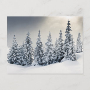 Bomen met hoarfrost en sneeuw briefkaart