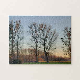 Bomen met maretak tegen een heldere hemel legpuzzel